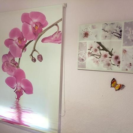 La Casita De Ana. Puerta Valencia. Casco Antiguo Villa Cuenca  Bagian luar foto